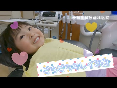 3歳ピカピカな歯です🤩　予防歯科原歯科医院　【調布市　布田駅　八雲台】