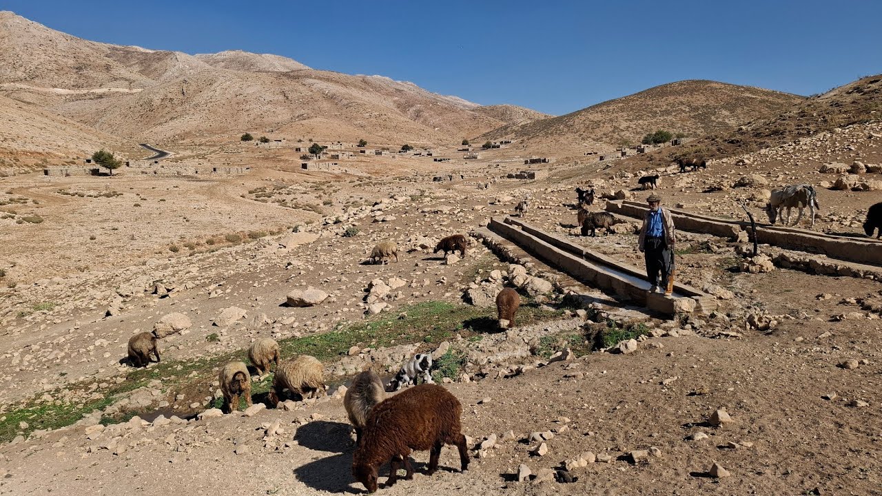 iran-nomadic-life-jahangir-s-journey-to-the-desert-to-graze-sheep