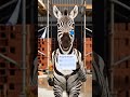 Zebra telling funny jokes #skiny #zebra #youtubeshorts #viral #fypシ #funny #construction #painting