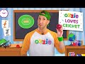 Learn to play cricket for kids  cricket explained for beginners