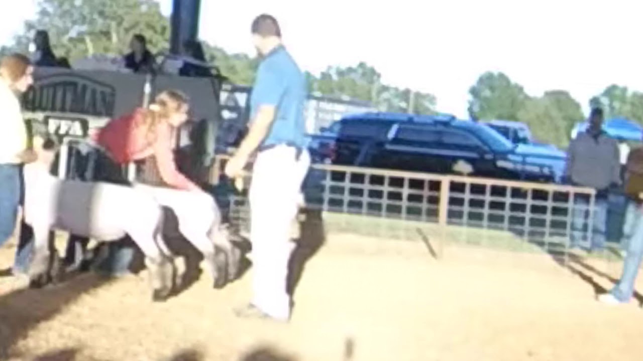 Quitman Jackpot Show Ellie YouTube