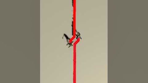 Q Learn Proper two agent simple video