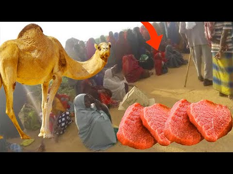 21 Qof Oo Soomaaliyeed Oo Isku Qoys Ah Oo Arin Fajacisa Ahi Soo Foodsaartay 