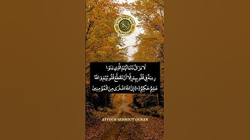 سورة التوبة الآية 109-111 تلاوة الشيخ عيون الكوشي #اكسبلور