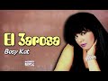 العروسة بوسي كات اجمل الاغاني mp3