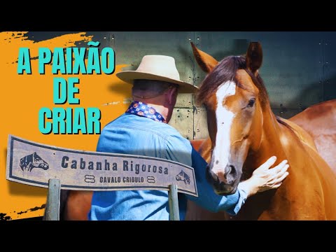 EXCELÊNCIA NA CRIAÇÃO DE CAVALOS CRIOULOS EM SANTA CATARINA