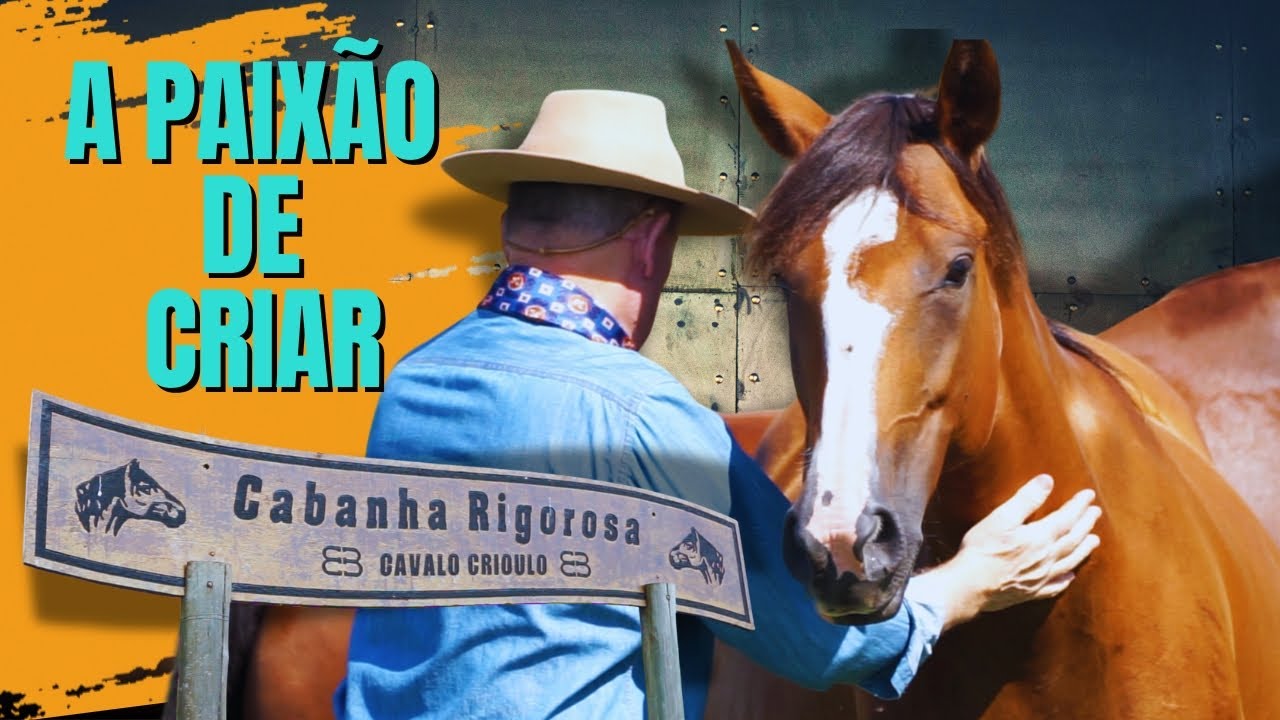 Cabanha Rigorosa : excelência na criação de cavalos crioulos em Santa Catarina