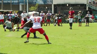Bucs - Jags fight