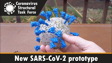 New SARS-CoV-2 model, explained! (prototype)