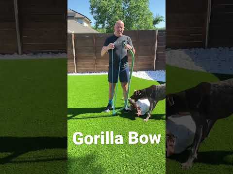 Gorilla Bow review