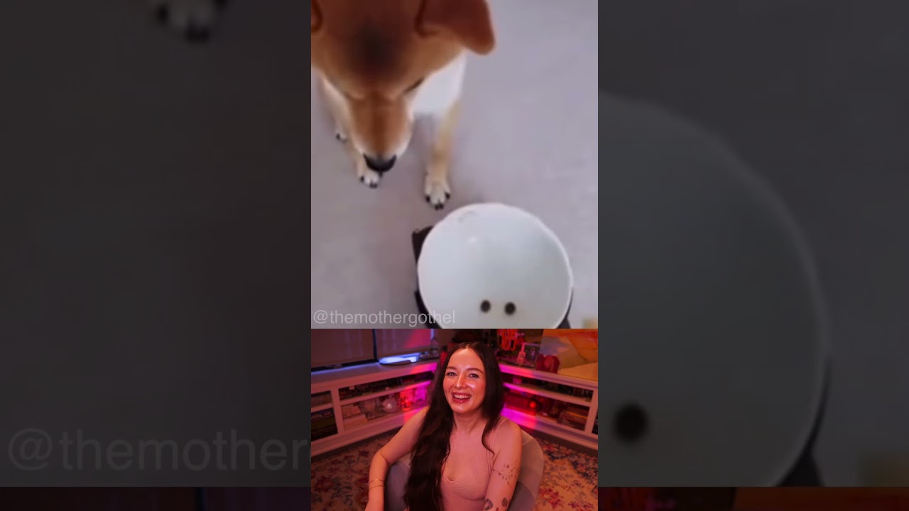 oh he's MAD NOW - Tiktok REACTION