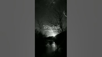 سورة يونس القارئ عبد الرحمن مسعد #القرآن #اكسبلور #المصحف #سورة #يونس #القارئ #عبدالرحمن_مسعد #لايك