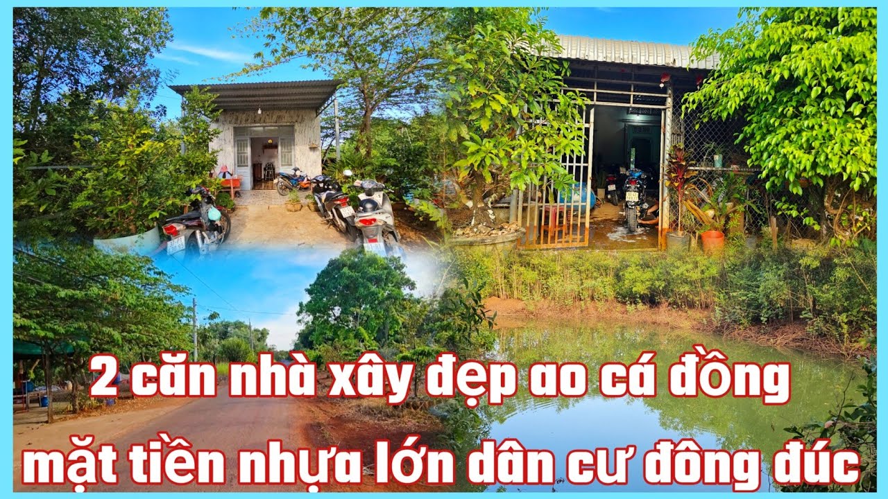 Bán 2 căn nhà vườn mặt tiền nhựa lớn 32×105×111 dt 3393,4m³ sẵn 100m thổ cư giá 1,4 tỷ bao sổ 