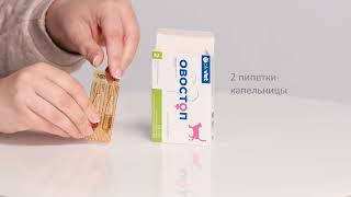 8 Овостоп для кошек