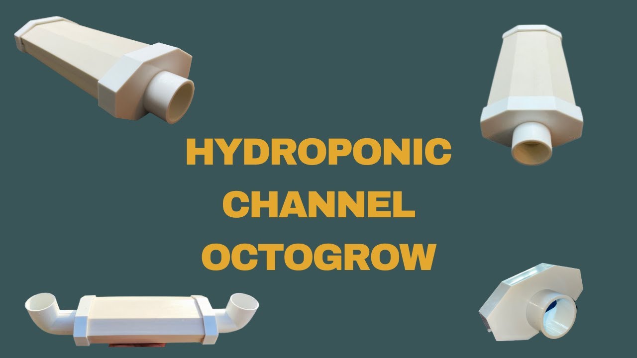 Introducing Toclan Octogrow: Revolutionizing hydroponics with its unique octagonal design!