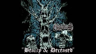#Crypticus - Beauty & Deceased (Official Audio HD + Lyrics)