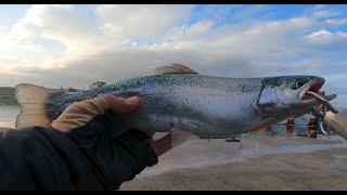 Somon Avı At Çek Keyfi Savage Gear Jig Pencil Micro Z Kerem Ayhan Usta Sinop - Hamsylos Av Marketi