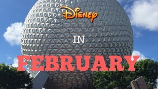 Visiting Disney World in February