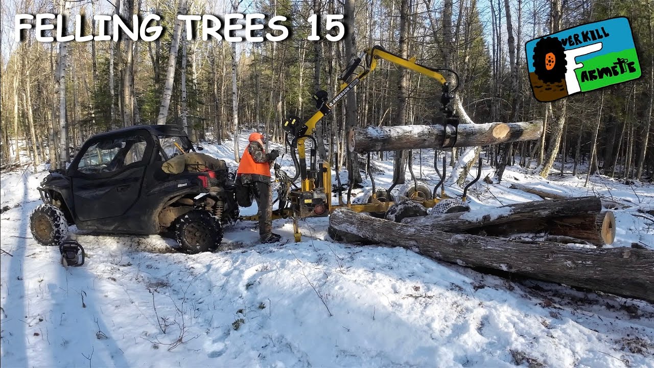 OF 73 FELLING TREES 15 - YouTube