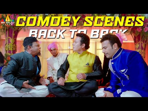 Saleem Pheku Best Comedy Scenes Back to Back | Dawat E Shaadi |#manisha | Hindi Comedy Movie Scenes