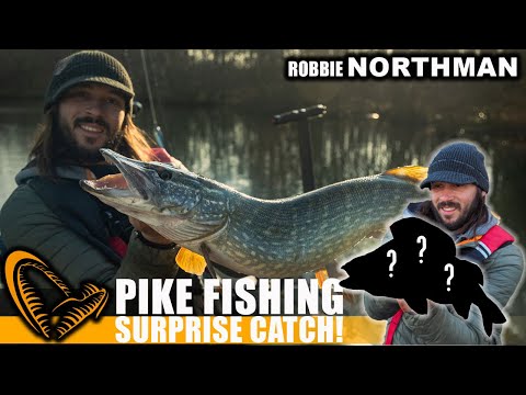 Pike Fishing Adventures, English Fens - Savage Gear - Robbie Northman