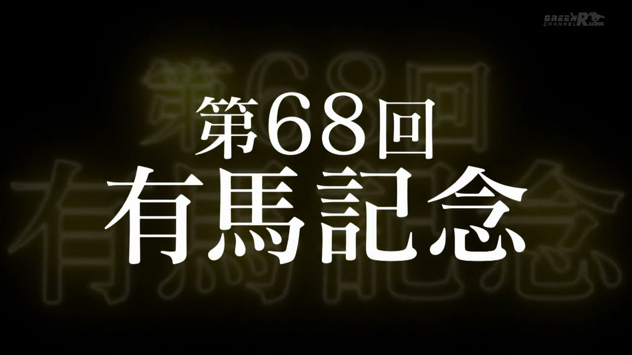 ドウデュース　2023 有馬記念　出走馬ミニゼッケン ドウデュース 有馬記念 2023 優勝馬 専用額付き 競馬 ミニゼッケン