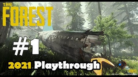 Trying to Survive the Crash | The Forest Gameplay / Walkthrough / Playthrough | Ep 1