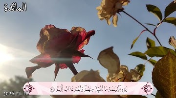 سورة المائدة - أرکان سلمان اية 35#أرکان_سلمان#آل_عمران