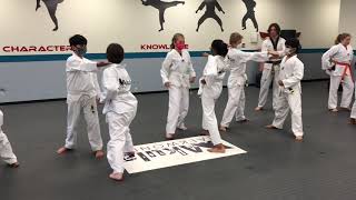 Taekwondo Belt Testing in Novi MI