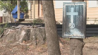 How to check your trees ahead of a winter storm