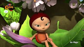 Arı Maya Ismarlama Hava