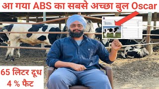 New top bull for hf cow, Breed improvement। High milk and fat । Profit from dairy Business।ABS India