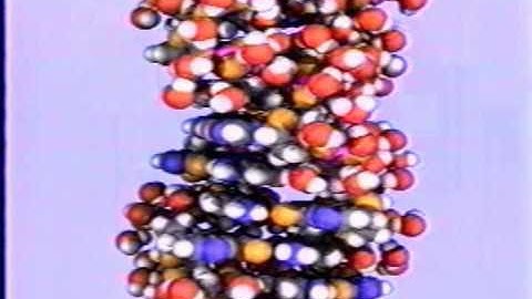 Molecular Dynamics of Solutions - ACM Siggraph 1987