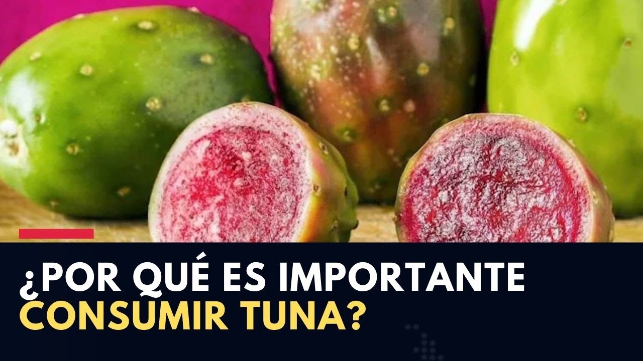 Infografia Beneficios De La Tuna Beneficios De Alimentos