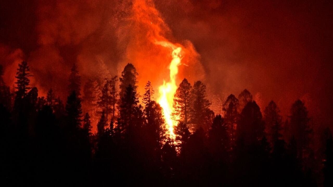 East Texas braces for elevated wildfire risk early in 2026 - YouTube