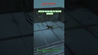 infected blood bug Vs viscous Mongrel - fallout 4 battles #fyp #shorts #fallout #fallout4 #foryou