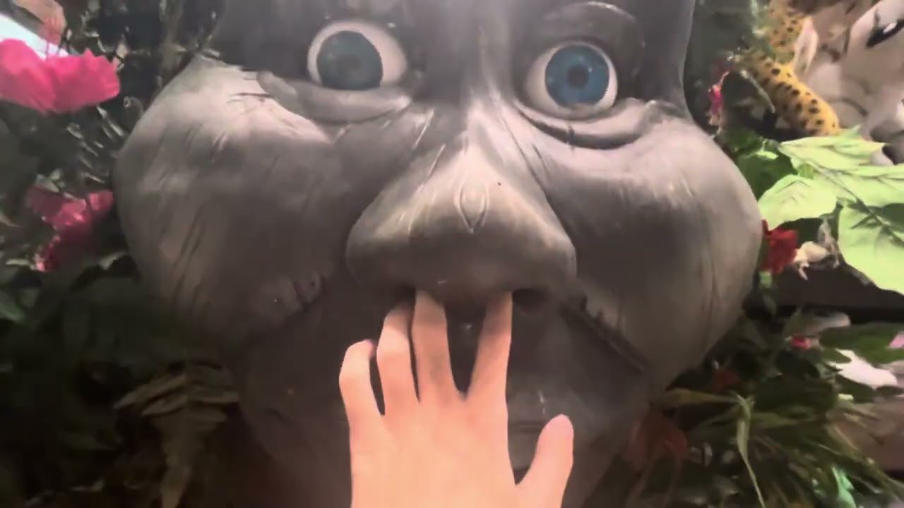 Rainforest cafe tracy tree