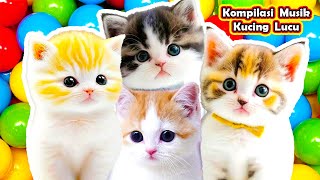 ANAK KUCING MEONG MEONG | Kompilasi Kucing Lucu - Lagu Anak Anak Indonesia