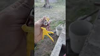 devede ser selectivo al momento del vaile por q es una competencia amigos