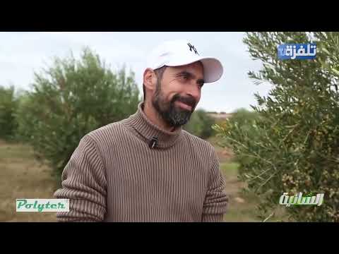 مقتطفات من برنامج السانية موسم 2024 2025 تكنولوجيا Polyter حل للفلاحة البعليةPolyter