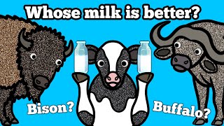 Where Does Milk Come From? | Baby Cow Goes on a Journey to Find the Most Delicious Milk