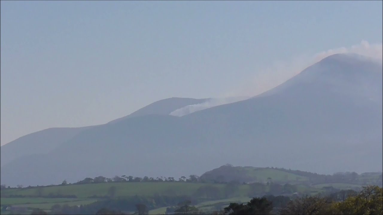 New Seaforde Co Down Woodland Walk