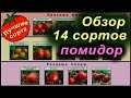 14 НИЗКОРОСЛЫХ УРОЖАЙНЫХ СОРТОВ ТОМАТОВ ДЛЯ ОТКРЫТОГО ГРУНТА