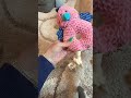 Why Is My Dog Obsessed With This Toy?
