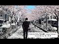 ASKA/けれど空は青〜close friend〜 Covered by もーたそ