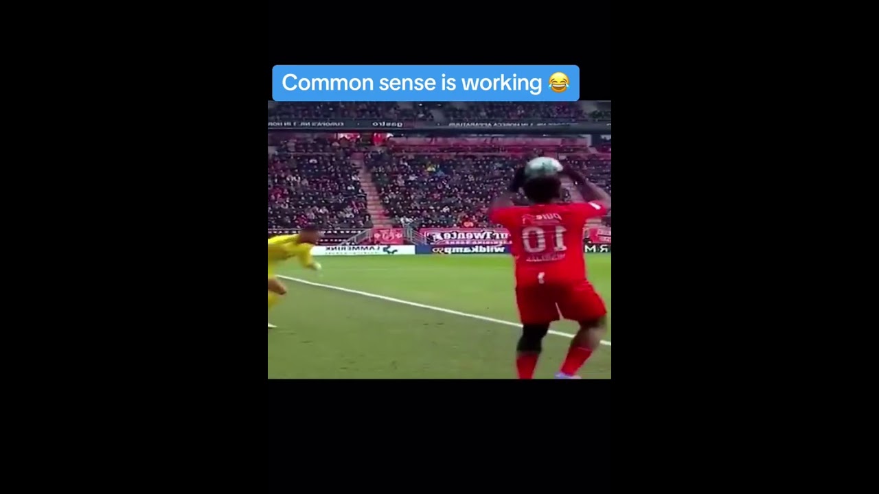 Original Title & Thumbnail