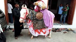 Zuljanah Of Anjuman Azae Hussain Unnao