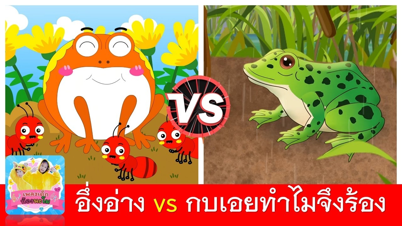 อึ่งอ่าง vs กบเอยทำไมจึงร้อง