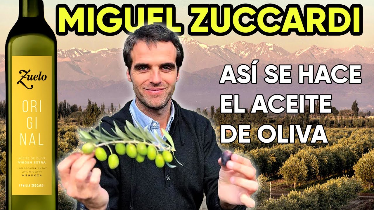 ¿Cómo se produce un ACEITE DE OLIVA PREMIUM Argentino? ZUELO - Zuccardi uno de los mejores del mundo