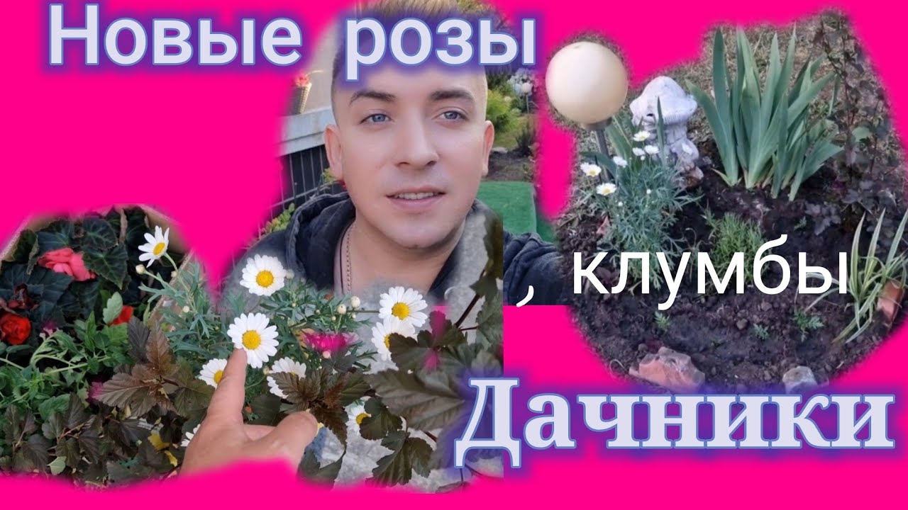 Новые розы, клумбы..Дачники ?? - YouTube